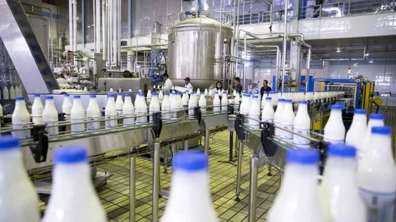 کاهش 35 درصدی فروش شیر در پی ادعای آلودگی محصولات لبنی به سم آفلاتوکسین