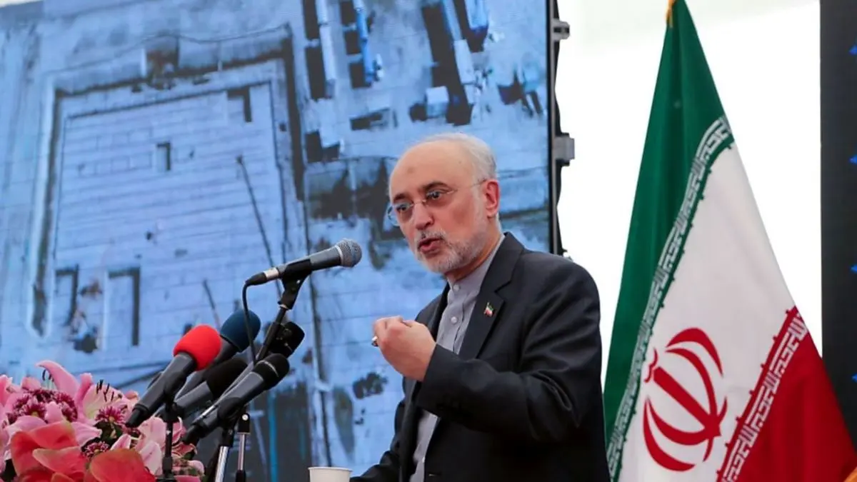 صالحی: ایران در صیانت از امنیت‌ خود کوتاهی نمی‌کند