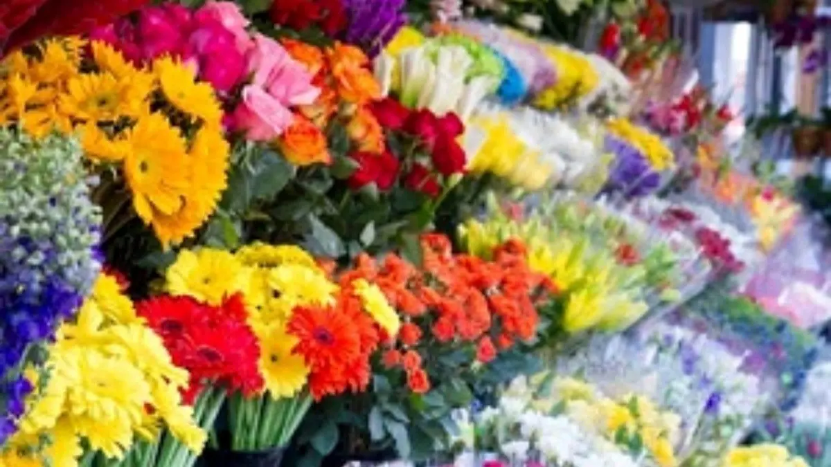 قیمت انواع گل در آستانه روز مادر اعلام شد