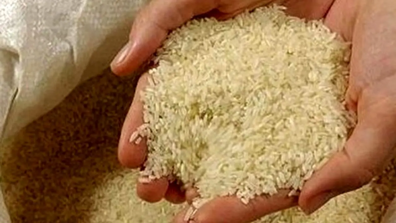 برنج داخلی در میادین میوه و تره بار 3500 تومان ارزان‌تر از سطح شهر است