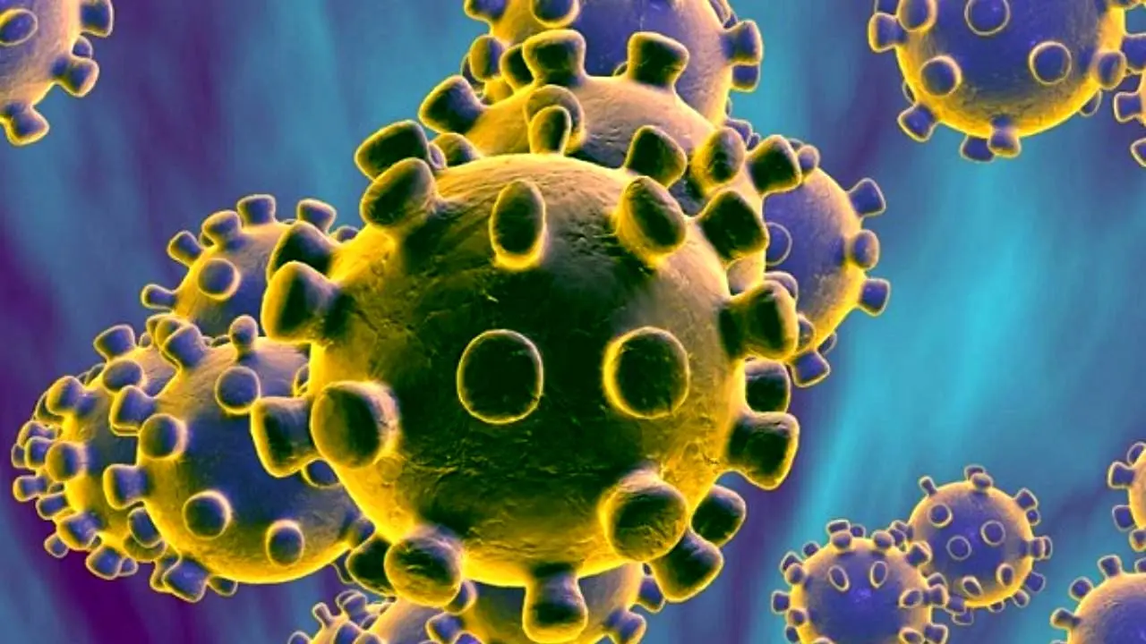 ثبت 2 مورد جدید از ابتلاء به ویروس «کرونا» در امارات