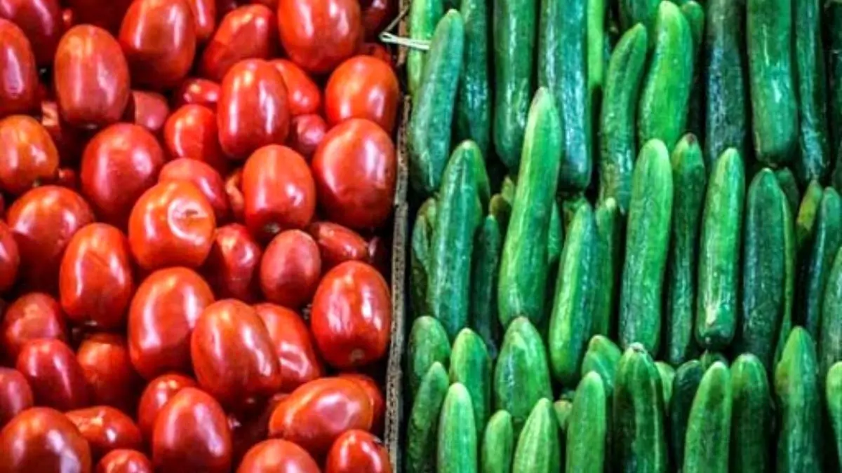 گوجه‌فرنگی و خیار رکورددار کاهش قیمت شدند