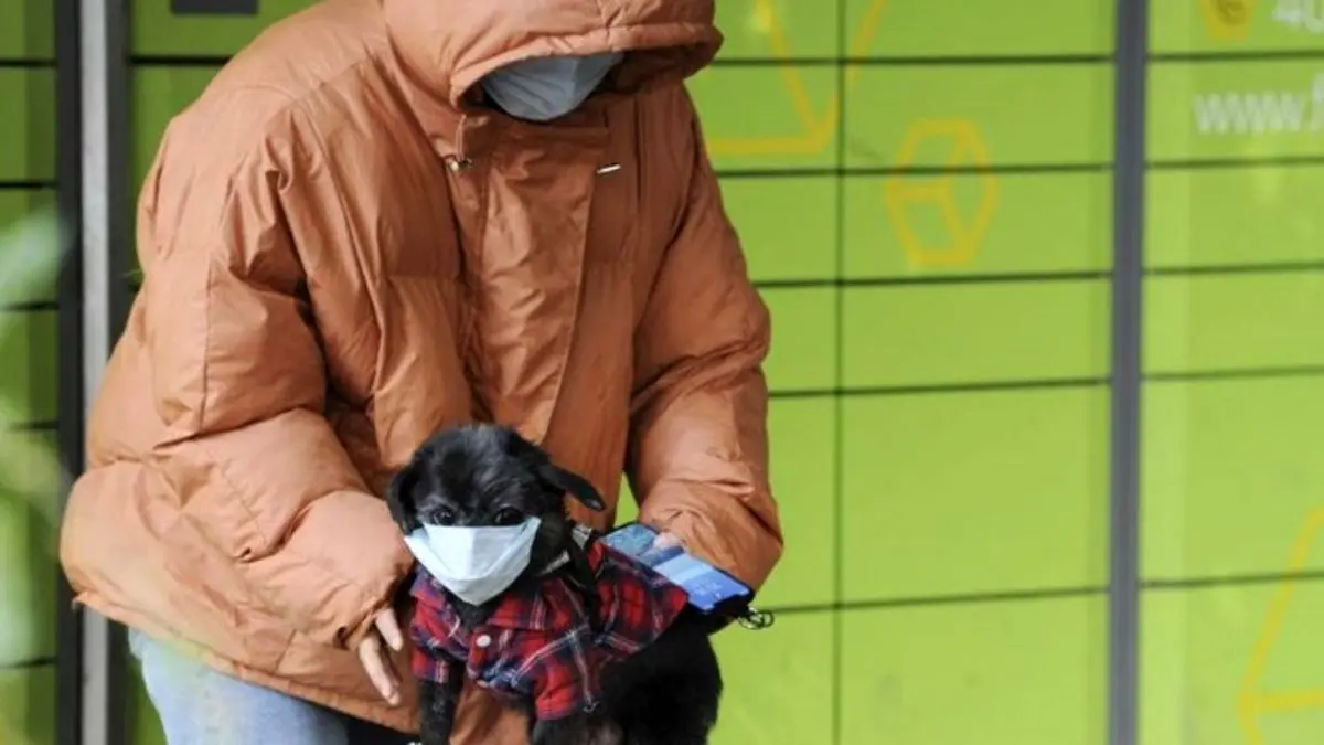 آزمایش کرونای یک سگ در هنگ کنگ مثبت شد