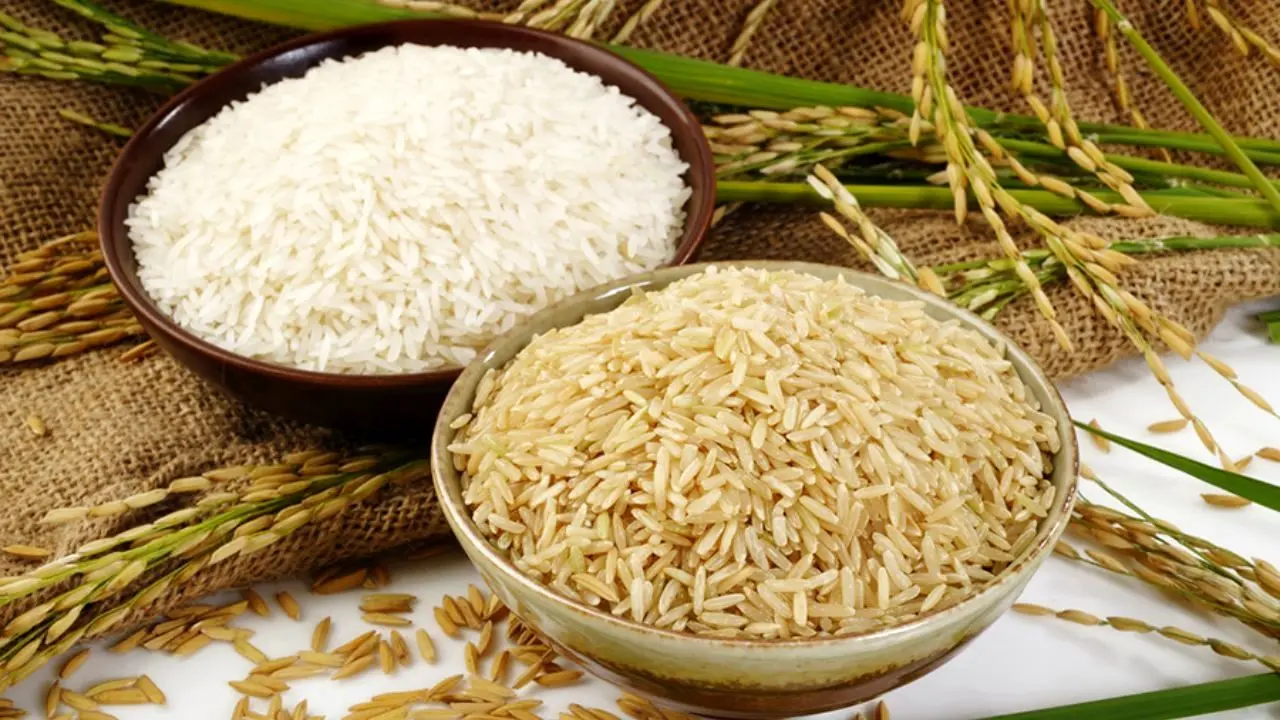 درخواست تخصیص ارز برای 500 هزار تن برنج وارداتی + نامه