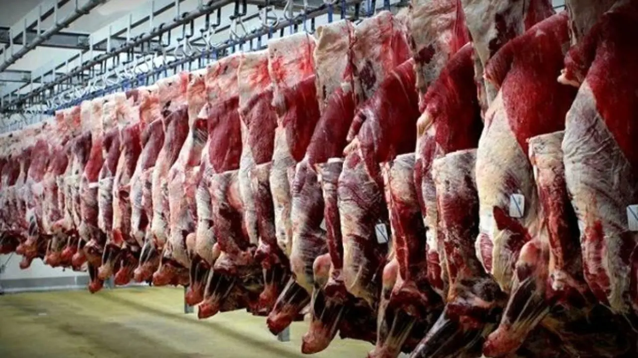 واردات گوشت گوساله 6 برابر بیش‌ از حد نیاز/ ممنوعیت صادرات موجب کاهش کیفیت گوشت ایرانی می‌شود