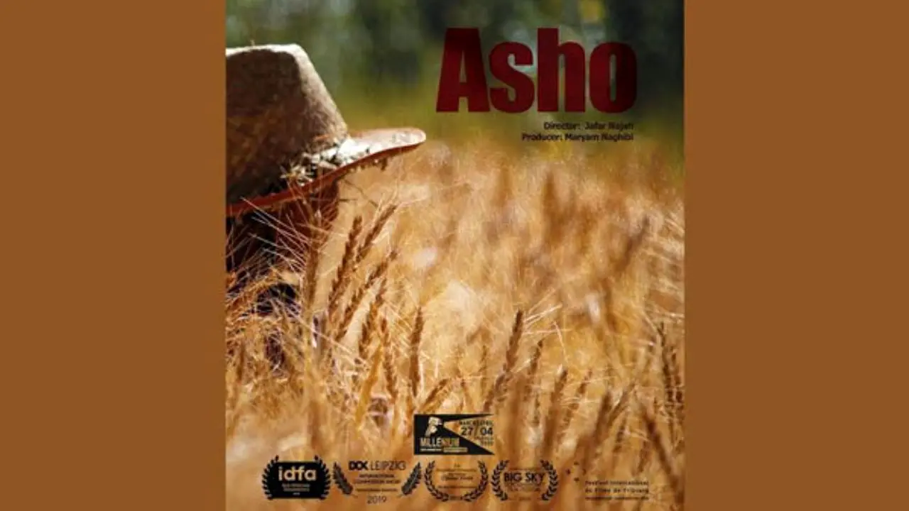 مستند «آشو» به جشنواره «میلنیوم» و «فرایبورگ» رسید
