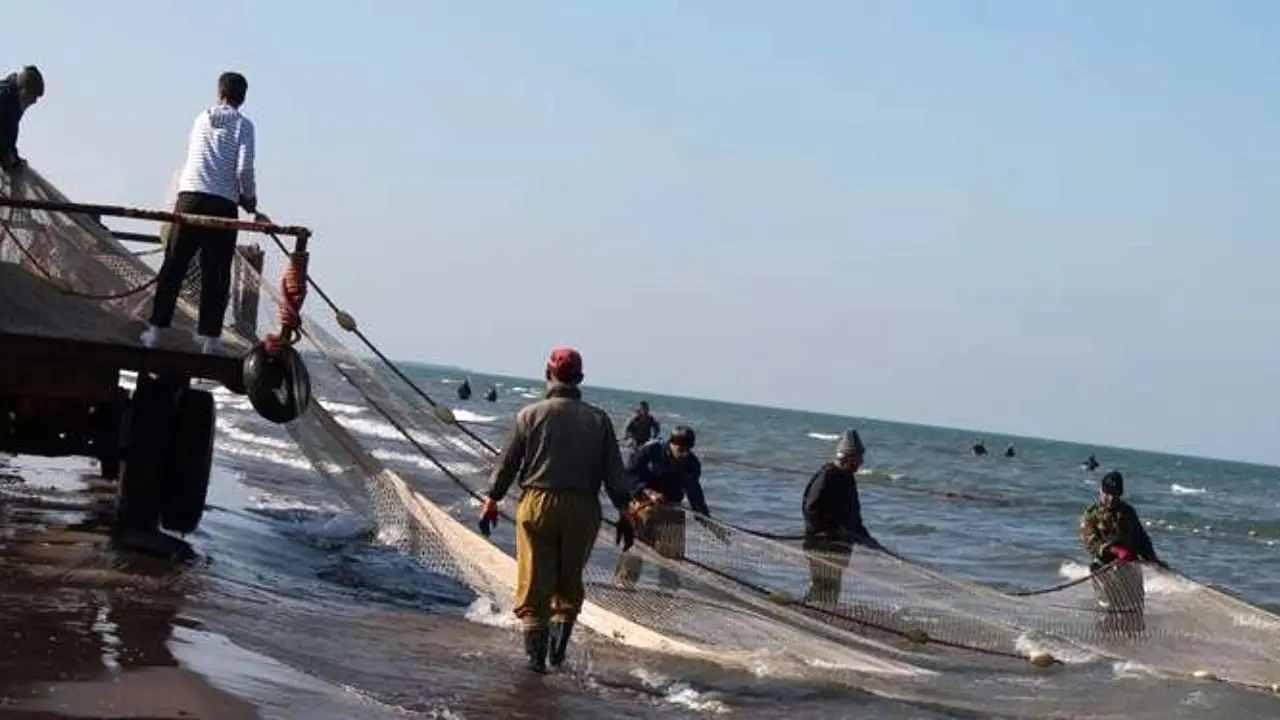 رشد 33 درصدی صید فانوس ماهیان در آب‌های دریای عمان