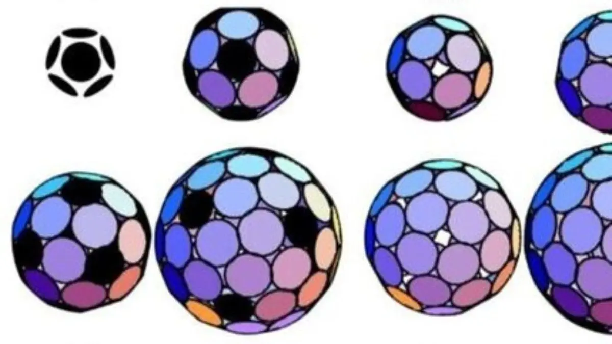 چگونه ویروس پوسته‌های متقارن خود را تشکیل می‌دهد؟