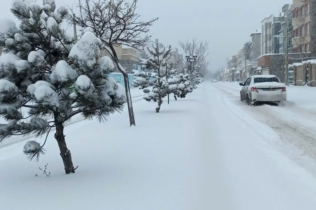 رکوردار برف تهران؛ آبعلی با نیم متر
