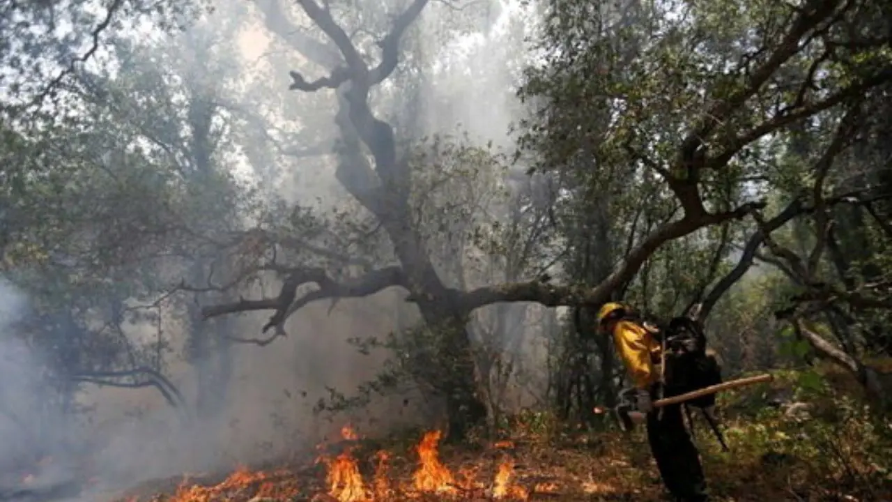 افزایش تعداد آتش‌سوزی‌های جنگلی در سال 98