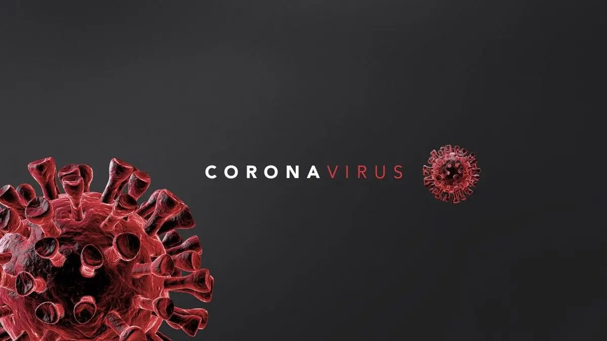 یافته‌های تازه درباره ویروس نوظهور؛ آیا کرونا در تابستان محو و بار دیگر مشابه آنفولانزا بازخواهد گشت؟