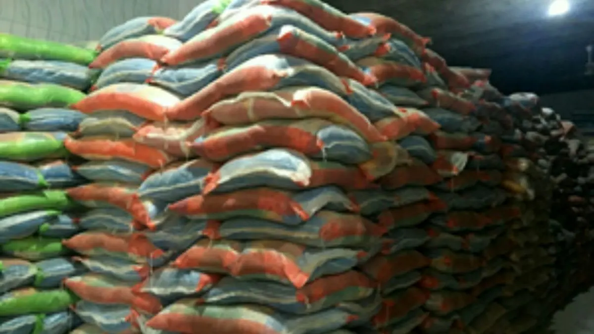 واردات 40 هزار تن برنج هندی/ افزایش 100 درصدی صادرات مواد معدنی