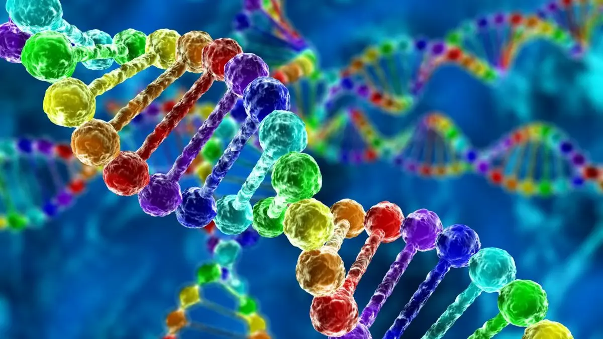 ژنتیک چه نقشی در ابتلا به ویروس کرونا دارد؟