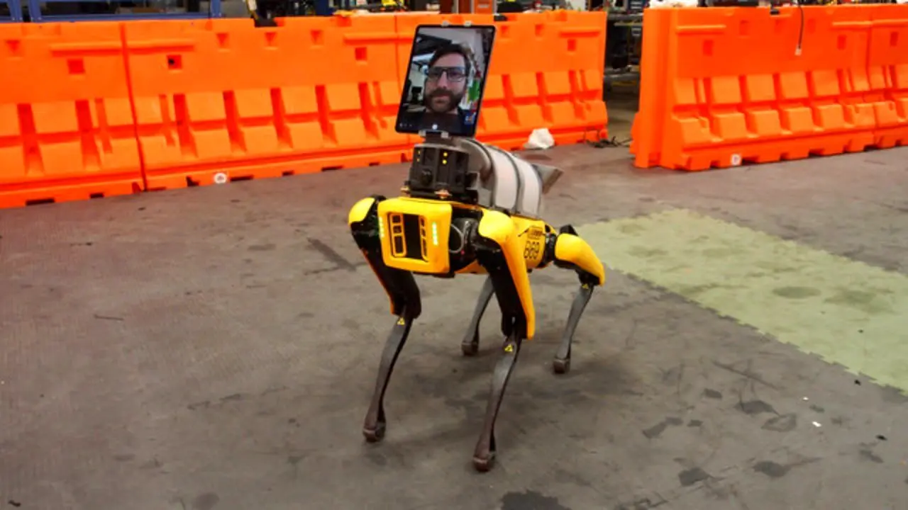 سگ‌های رباتیک به مبتلایان به کرونا خدمت‌رسانی می‌کنند