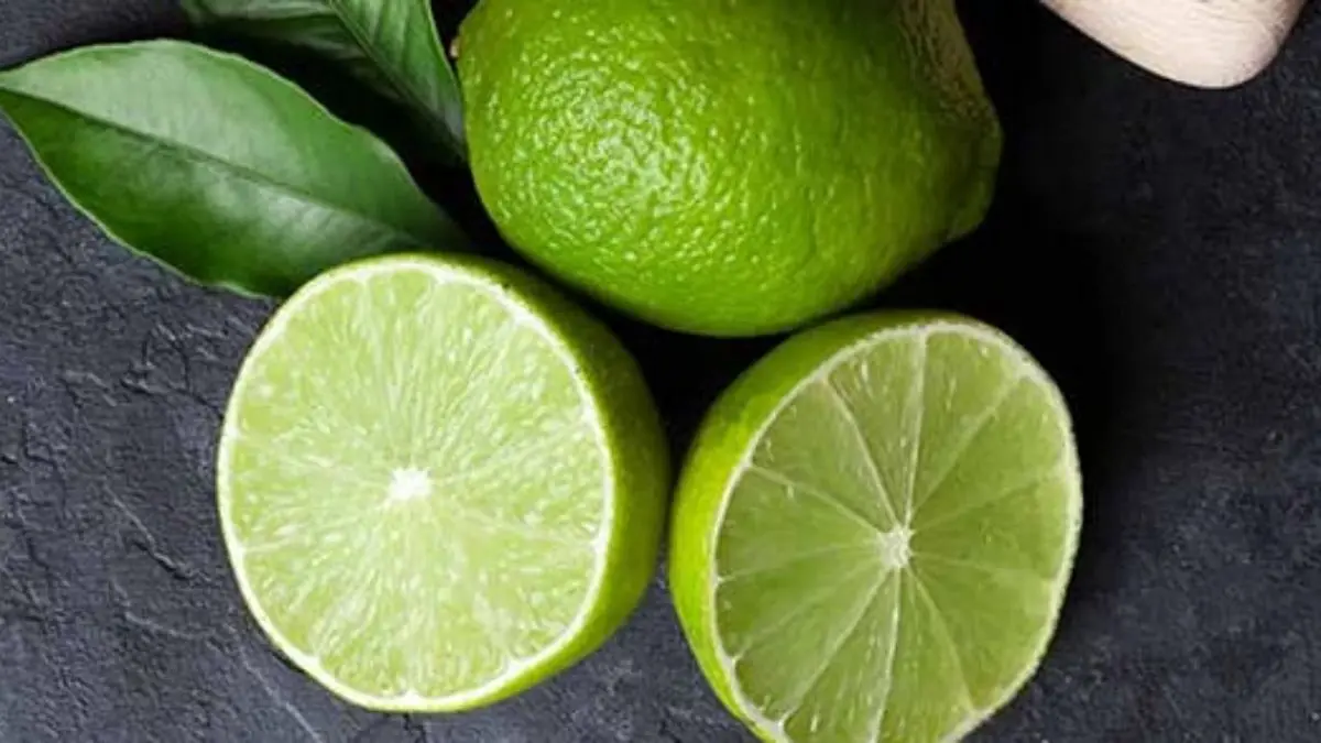 اختلاف دو وزارتخانه این بار در واردات «لیمو»/ ارز کمیاب کشور صرف واردات چه محصولاتی می شود؟