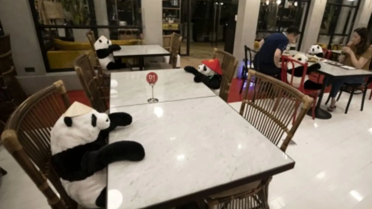 ویروس کرونا| پانداها میزهای خالی رستوران‌های تایلند را پر می‌کنند + عکس