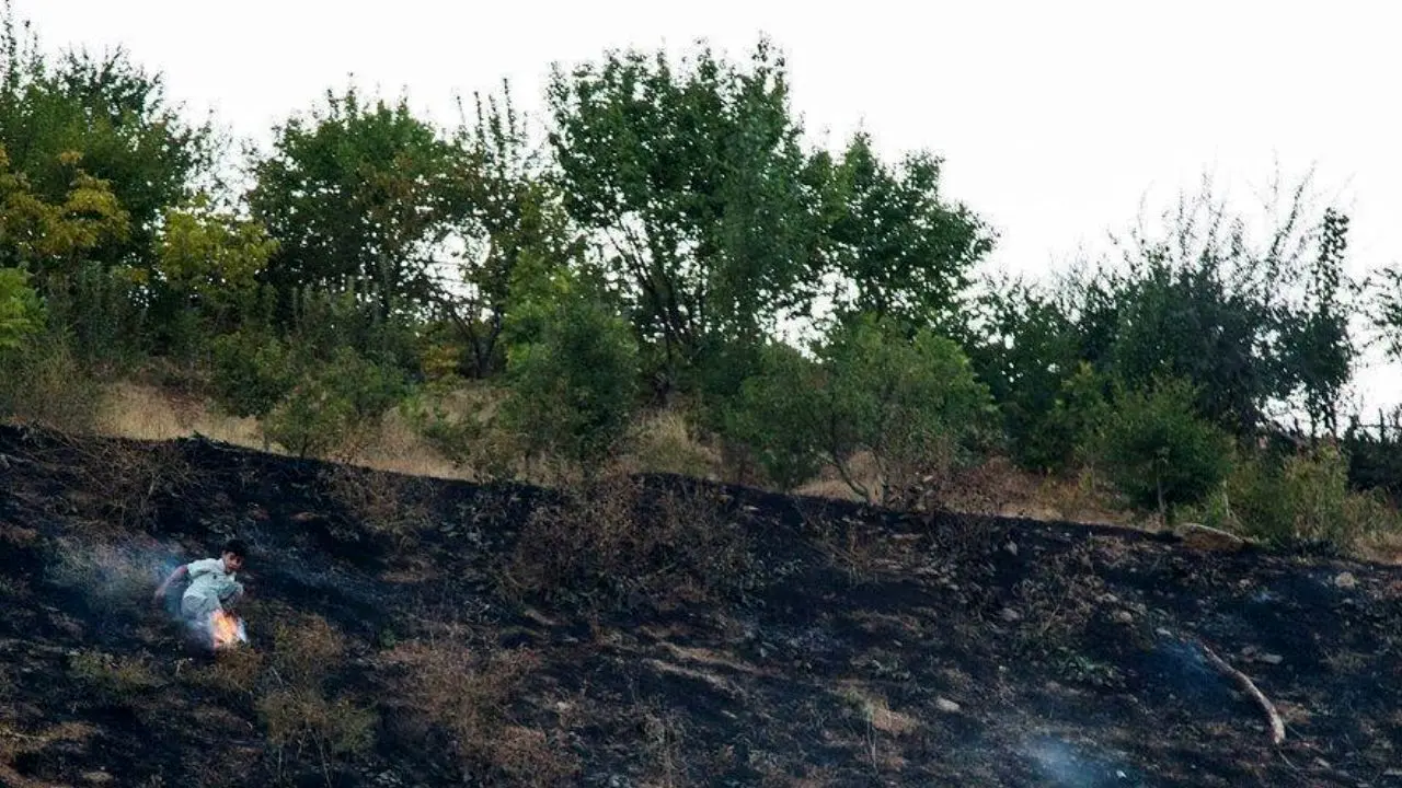 آتش‌سوزی در جنگل‌ها به قرار هر سال بازگشت