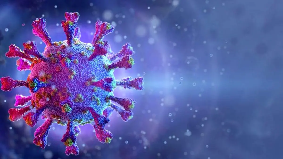 کووید 19 مثل آنفلوآنزا ریشه‌کن نخواهد شد