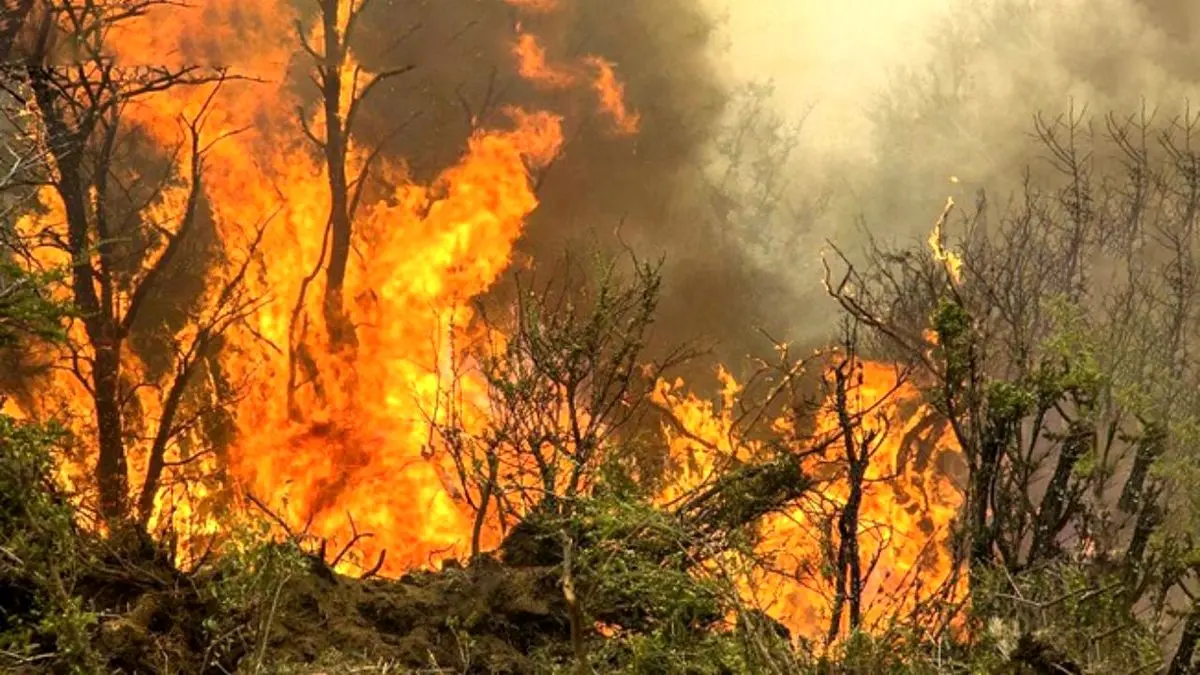 چگونه می‌توان آتش‌سوزی در طبیعت را مهار کرد؟
