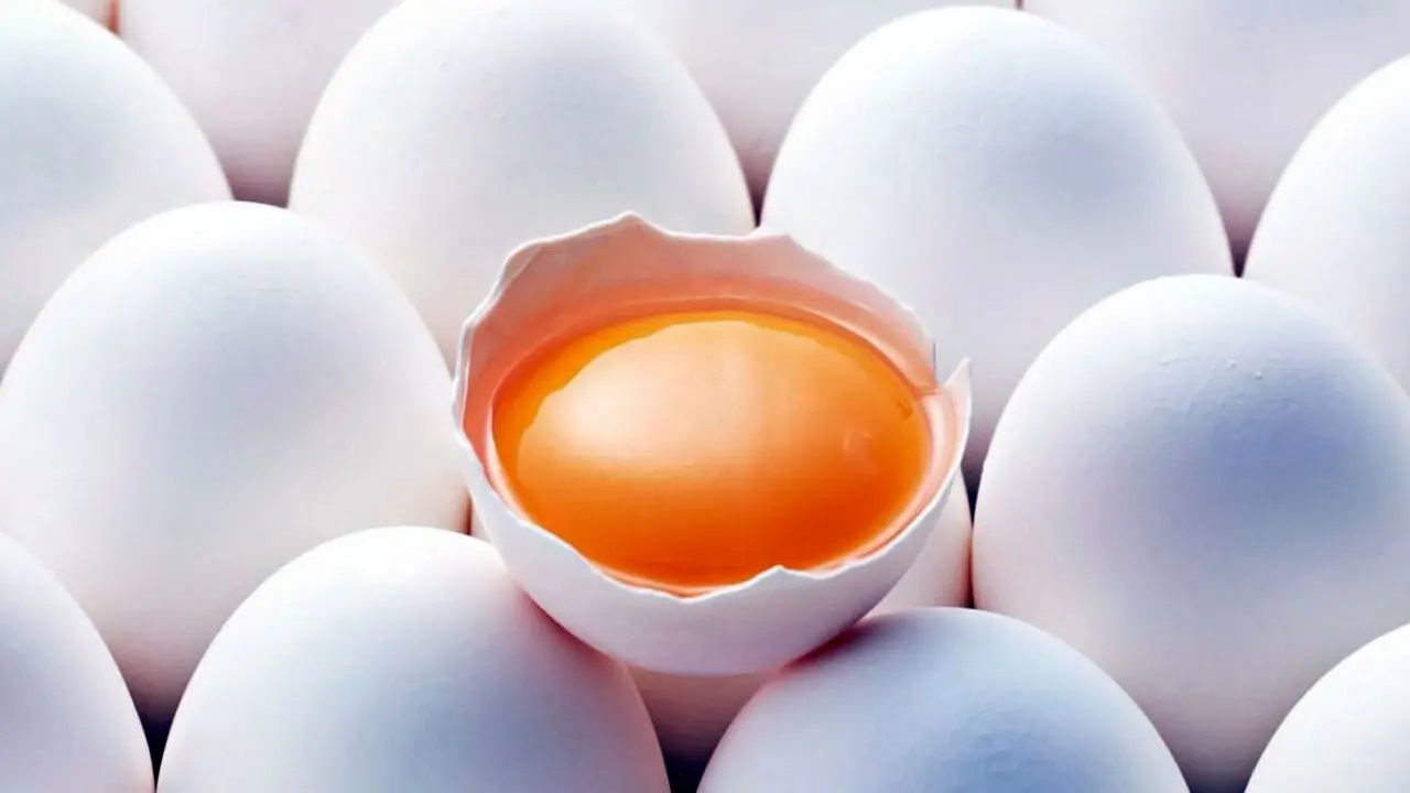 نرخ منطقی هر شانه تخم مرغ 24 هزار تومان
