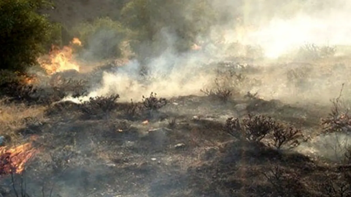 علت مهار نشدن آتش در مراتع محیط زیست + ویدئو