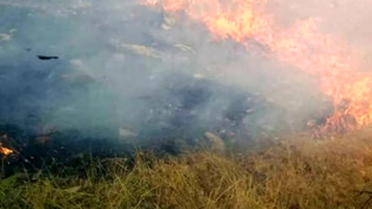 آتش‌سوزی منطقه خاییز خوزستان، صبح امروز + ویدئو