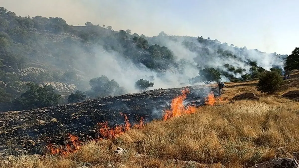 آتش‌سوزی جنگل‌های زاگرس| «خائیز» حالش خوب نیست + عکس + ویدئو