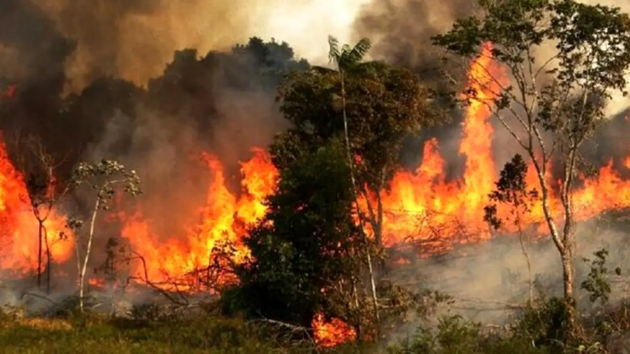 آتش‌افروزان تهران دستگیر شدند
