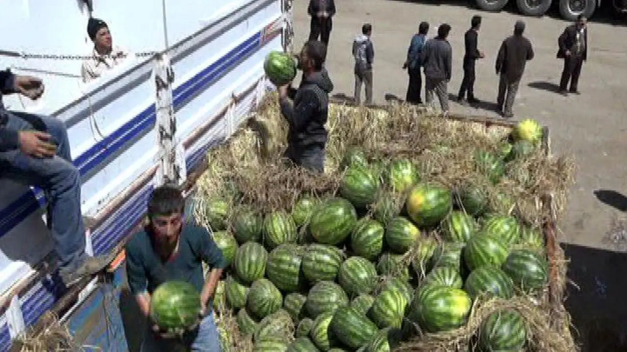 صادرات 117 هزار تن هندوانه در دو ماه