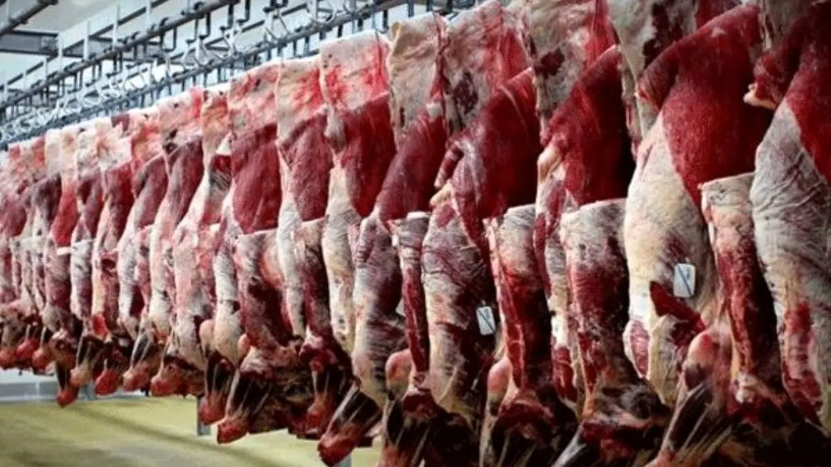 عرضه ذخایر گوشت منجمد گوساله به قیمت 55 هزار تومان + سند