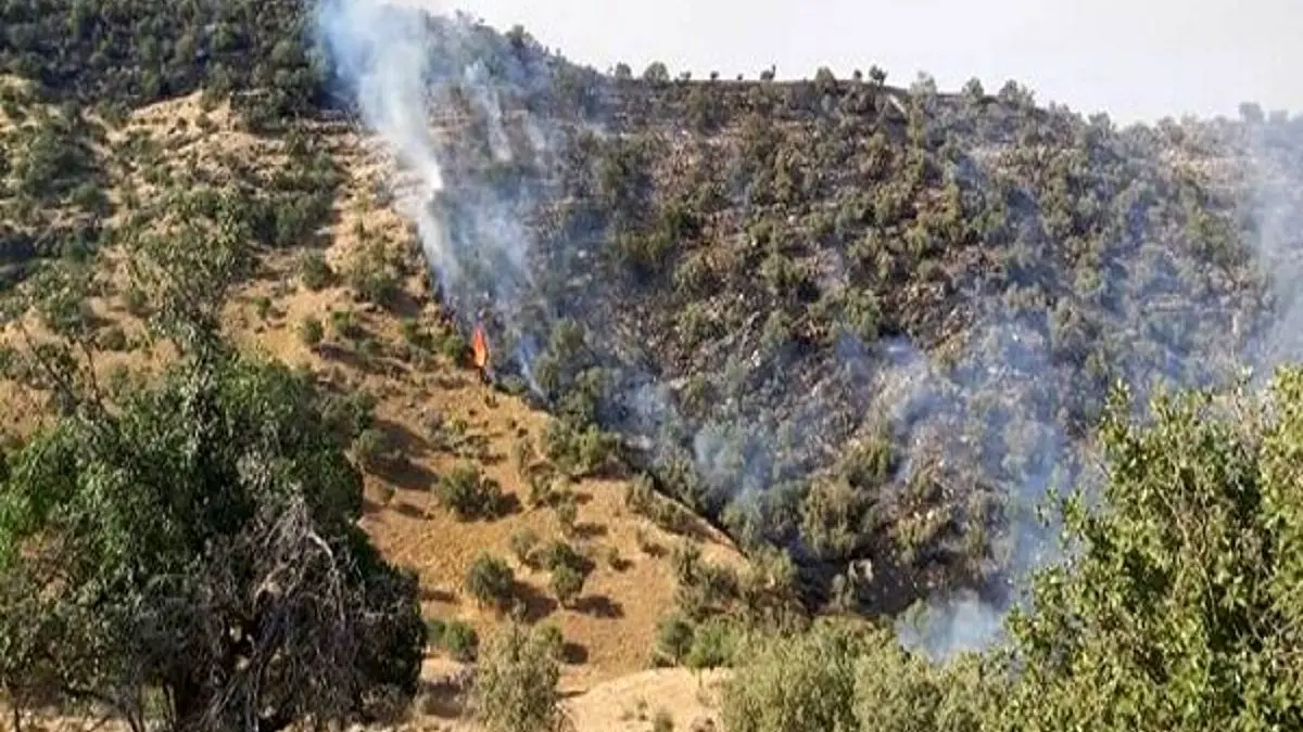 بازداشت عاملان آتش‌سوزی جنگل‌های «خائیز»