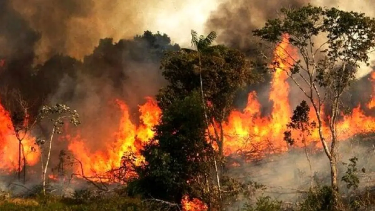 دستور معاون وزیر کشور برای جلوگیری از آتش‌سوزی بوستان‌ها و فضای سبز
