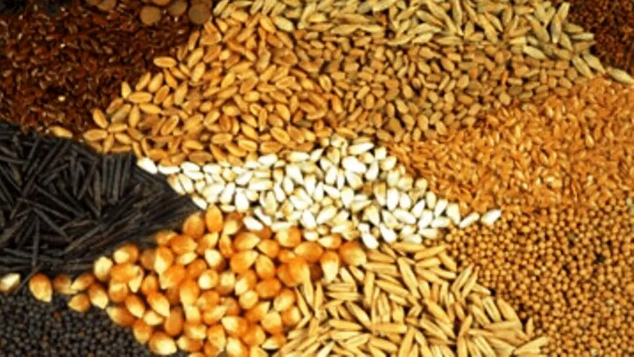 قیمت نهایی خوراک دام برای حمایت از تولیدکنندگان تعیین شد