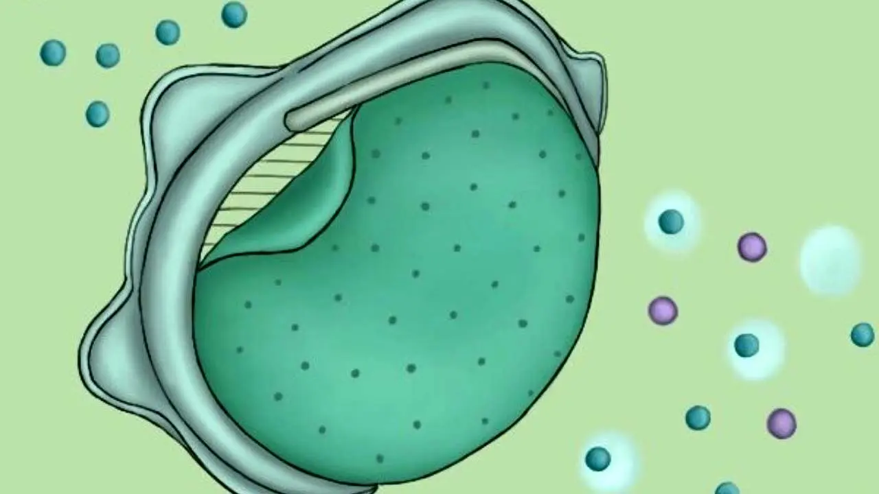 عمر ماسک‌های N95 بیشتر می‌شود