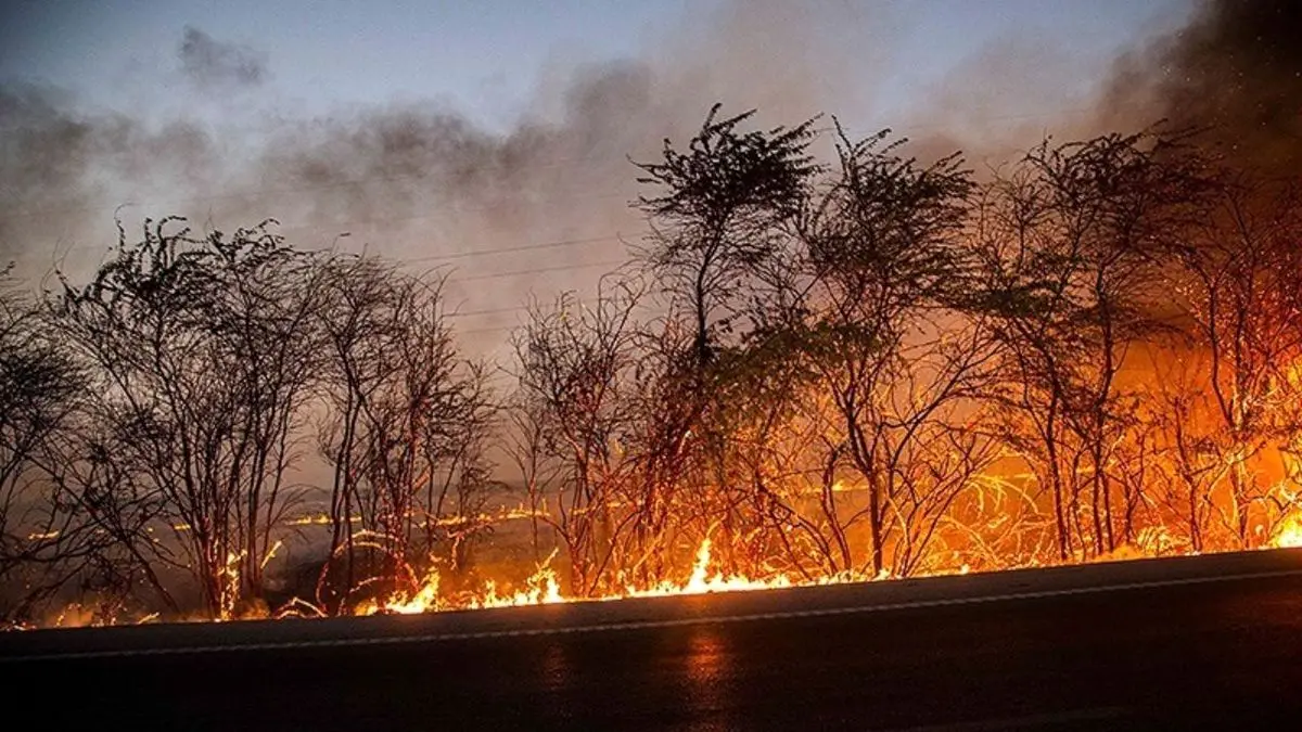بازداشت چندین نفر به خاطر آتش‌سوزی عمدی در جنگل‌ها و مراتع