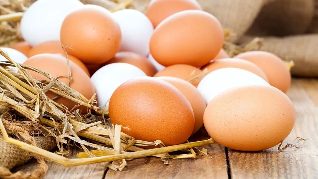 سازمان حمایت با گران‌فروشان تخم‌مرغ برخورد می‌کند