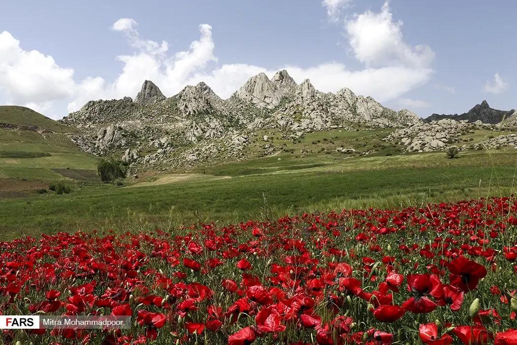 طبیعت ارسباران آذربایجان شرقی