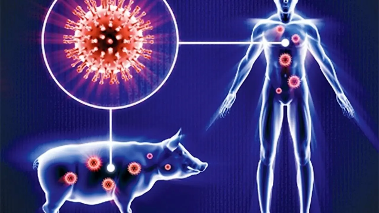آنفولانزای خوکی اپیدمی جدید خواهد بود؟