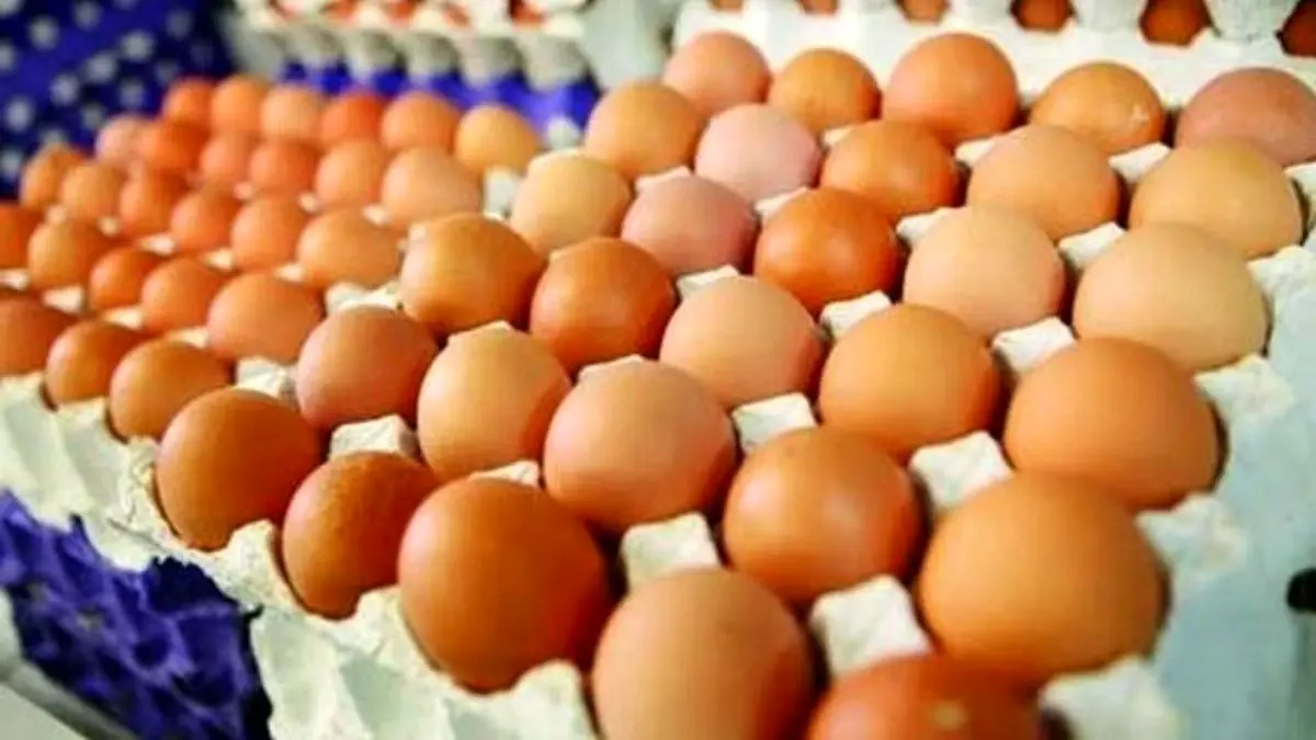 یک شانه تخم‌مرغ 28 هزار تومان!