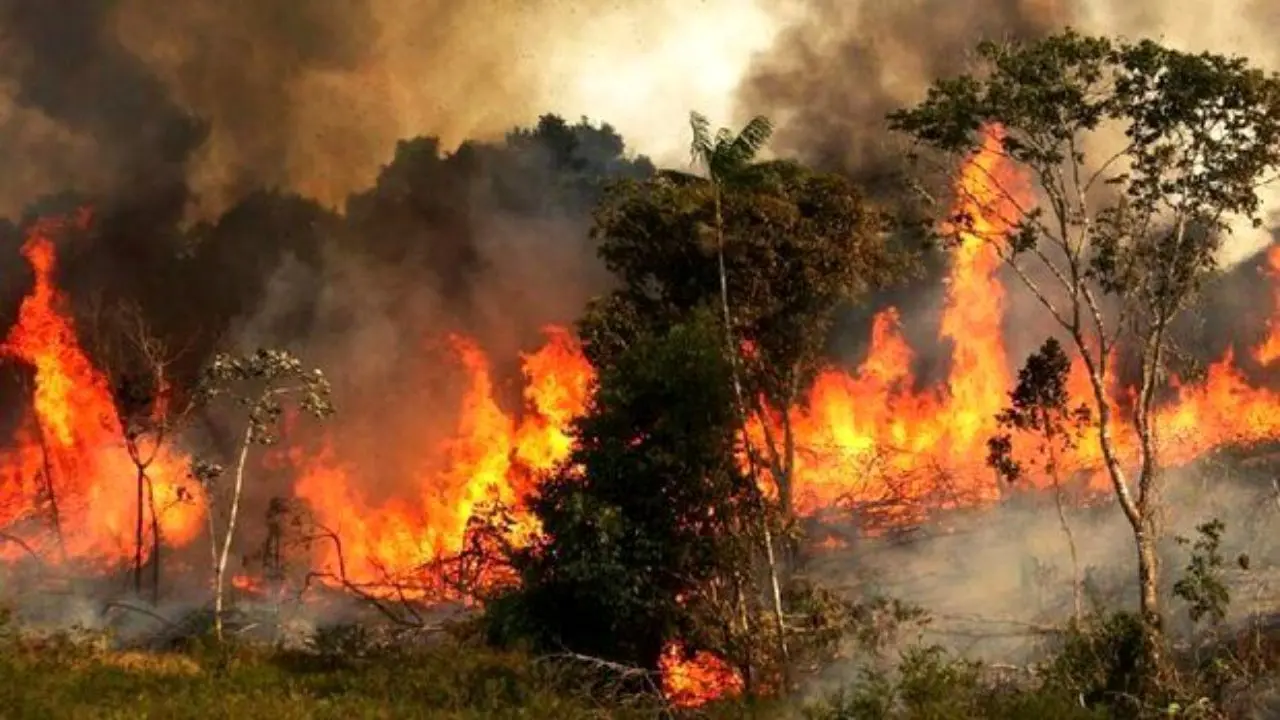 آتش‌سوزی جدید در جنگل‌های ایران، این‌بار در بویراحمد
