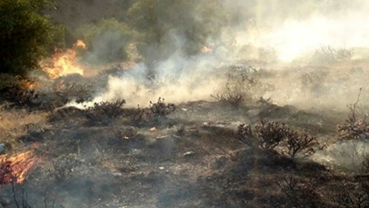 پارک‌های جنگلی تهران برای مقابله با آتش‌سوزی‌ هوشمند می‌شوند؟