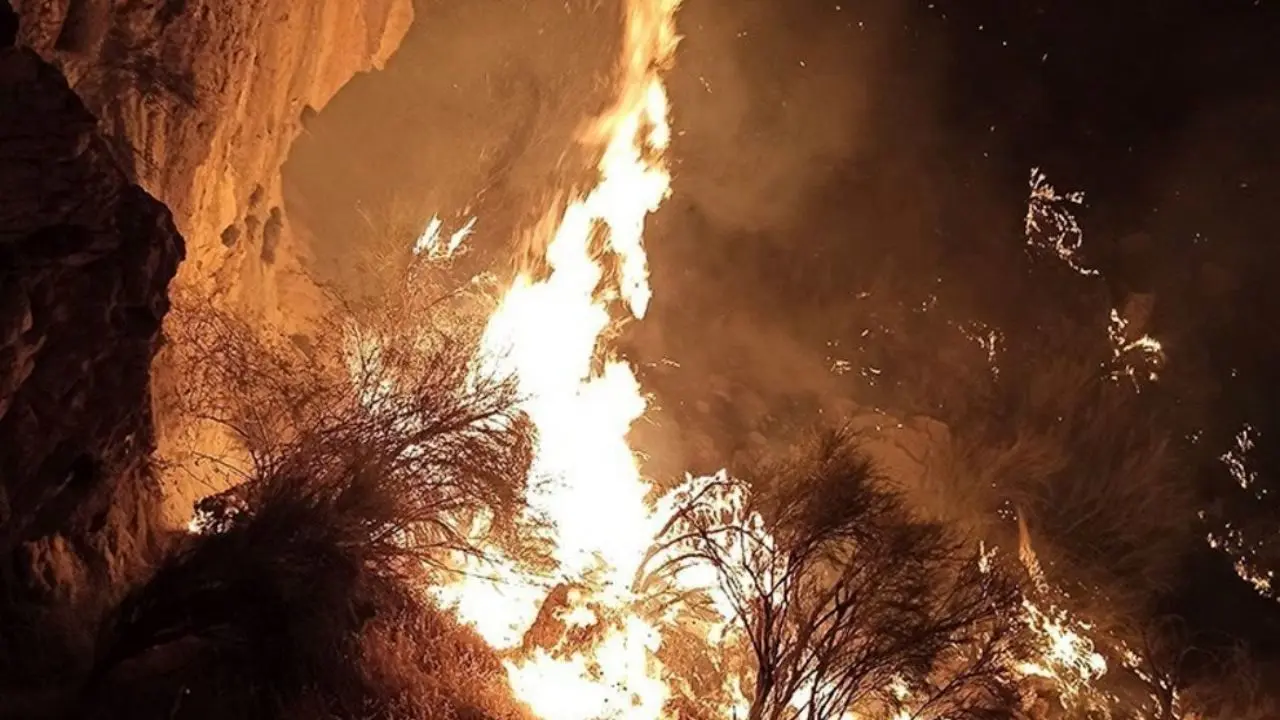 آتش‌سوزی دوباره در خائیز؛ آتش هنوز به درختان بلوط نرسیده است
