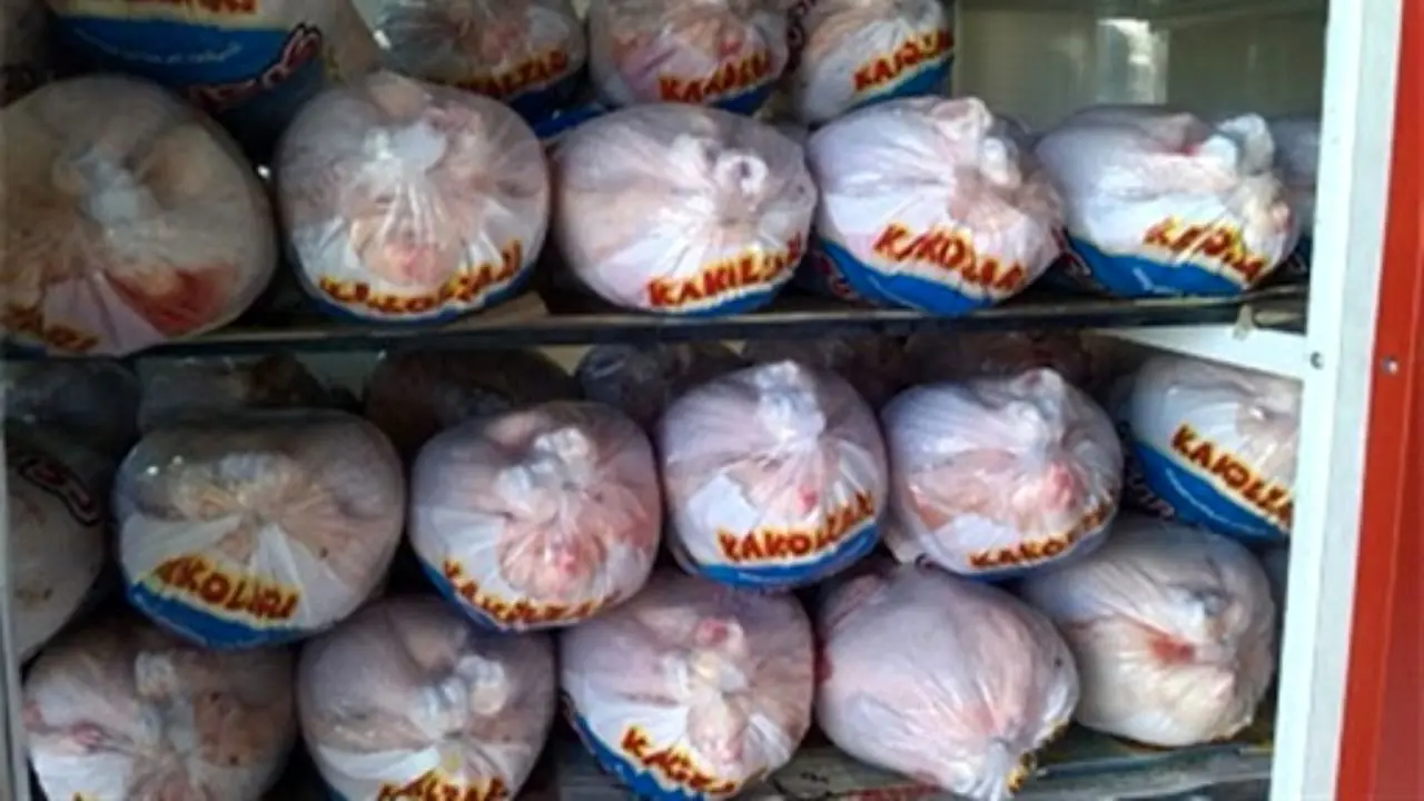 10 هزار تن مرغ منجمد به بازار عرضه شد