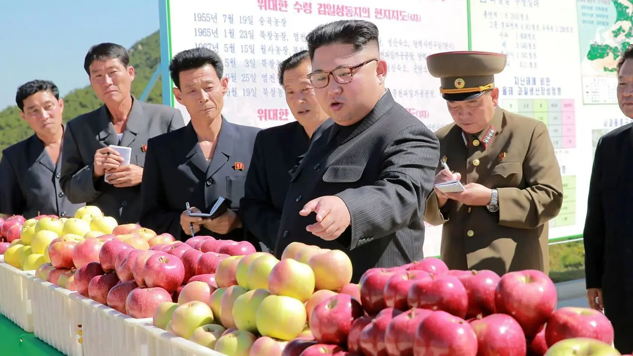 کره شمالی| لاک‌پشت بخورید!/ راهکار ویژه رهبر کره شمالی برای جبران کمبود مواد غذایی
