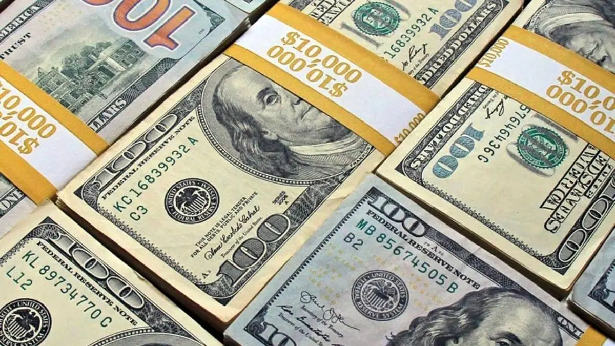 ارزهای صادراتی نابسامانی‌ها و مشکل عرضه در بازار ارز را حل می‌کند