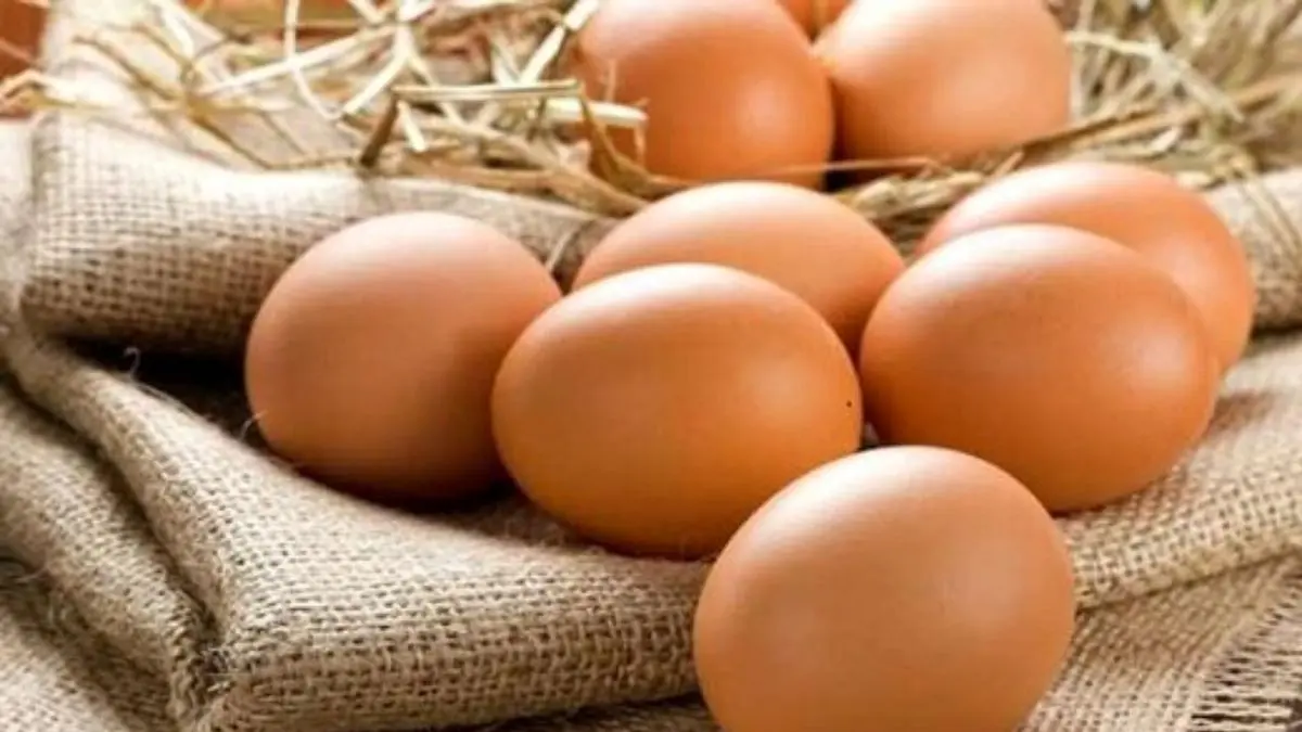 تخم‌مرغ کمتر از نرخ مصوب ستاد تنظیم بازار عرضه می‌شود