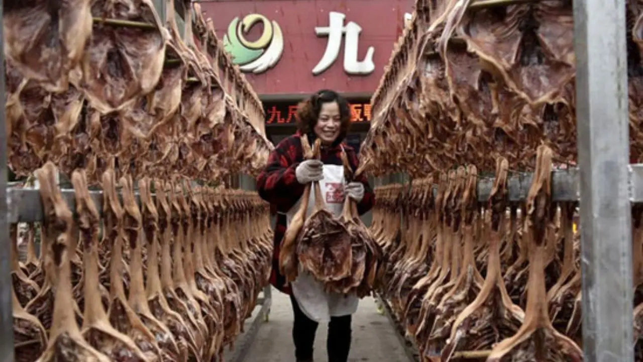 دستورات رئیس جمهور چین برای جلوگیری از هدر رفت غذا