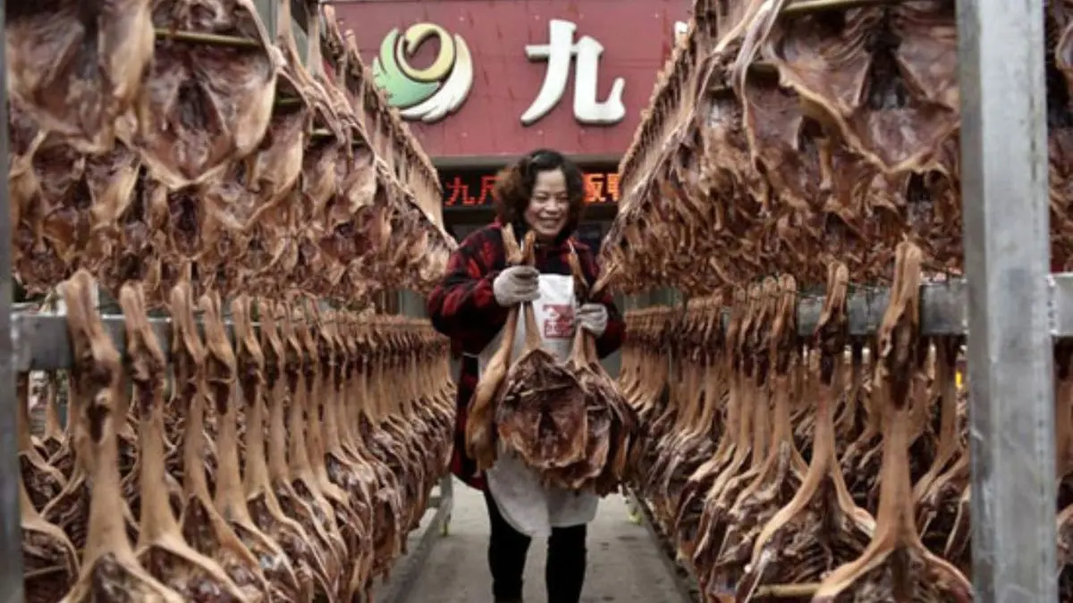 دستورات رئیس جمهور چین برای جلوگیری از هدر رفت غذا