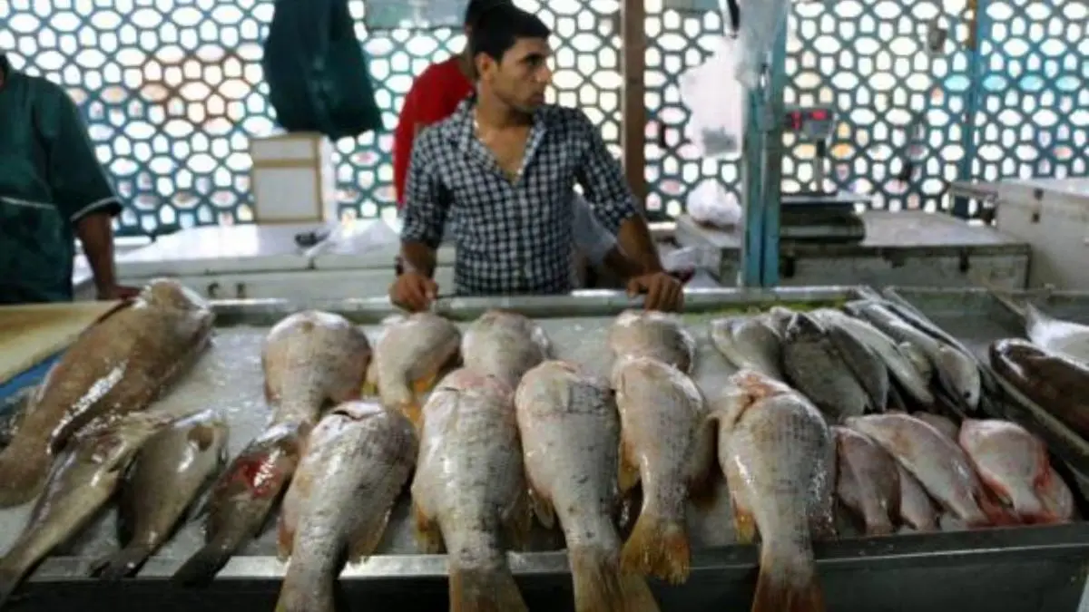 ساخت دومین بازارچه محصولات دریایی در تهران