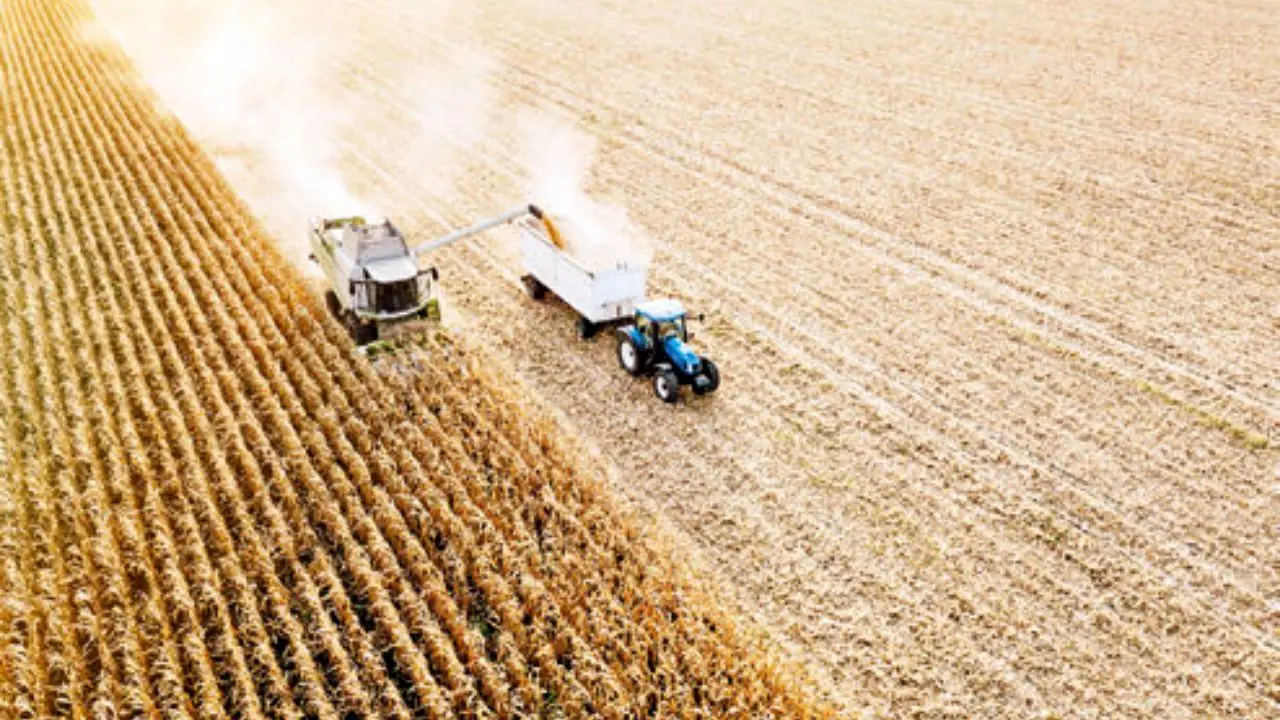 کلیات طرح خرید تضمینی محصولات کشاورزی تصویب شد